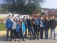 zloty lisc (1)